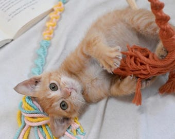 Cat Teaser Toy, Natural Macrame Cat Wand with Wooden Stick, Eco Friendly Interactive Kitten Toy, Indoor Exercise