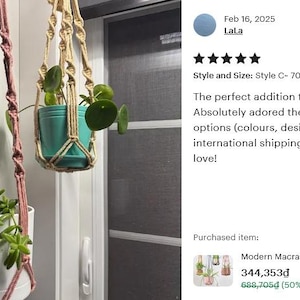 Modern Macrame Plant Hanger: Colorful Indoor Home Decor, Ivy Tree Pot Holder, Tropical Plant Pot Holder, Home Indoor Garden, Birthday Gift image 14