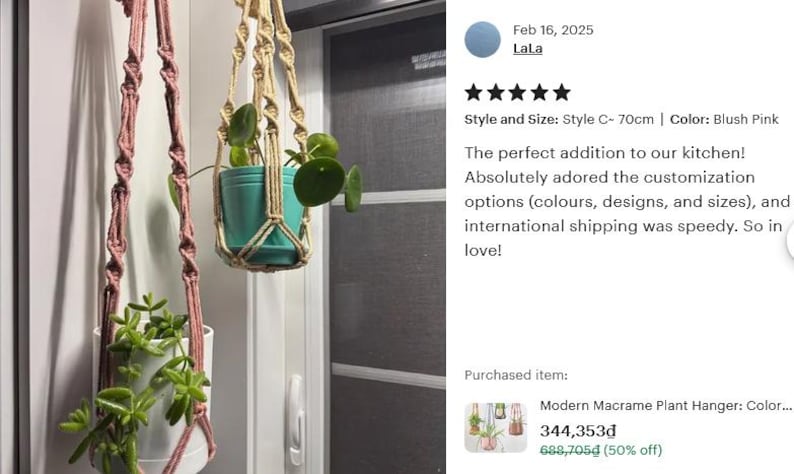 Modern Macrame Plant Hanger: Colorful Indoor Home Decor, Ivy Tree Pot Holder, Tropical Plant Pot Holder, Home Indoor Garden, Birthday Gift image 14