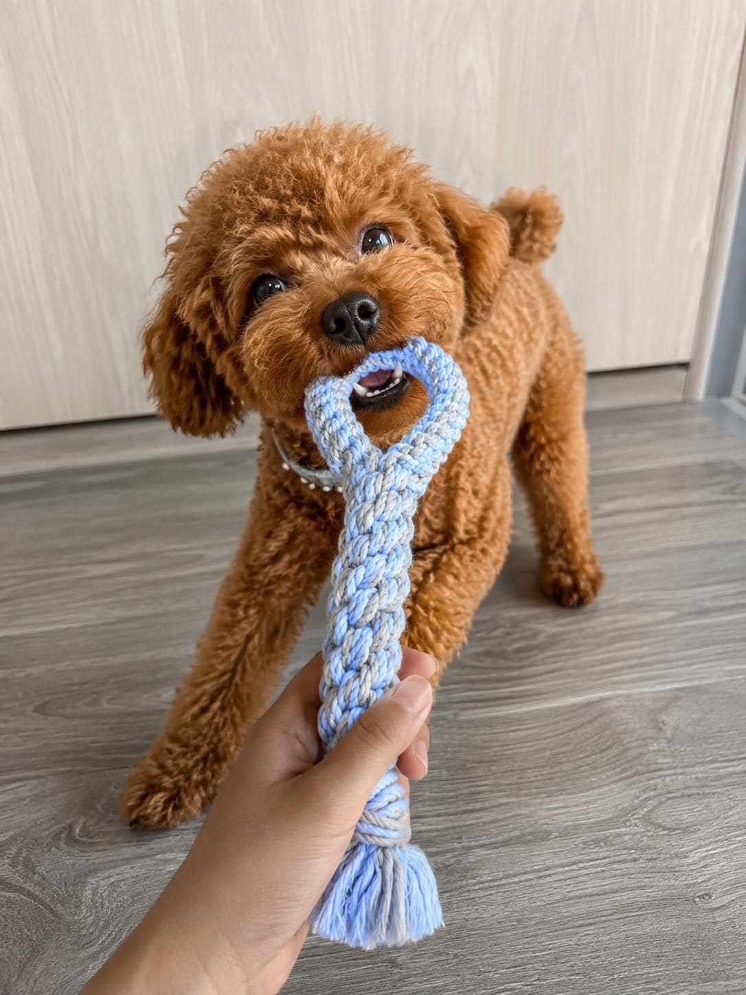Handmade Macrame Dog Toy, Personalized Rope Dog Toy, Cotton Tug Toy for Small Medium Dogs, Puppy Chew Toy