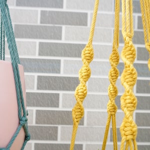 Pu&ograve; includere: Due portavasi in macram&egrave;, uno verde e uno giallo, appesi a un muro di mattoni. Il portavasi giallo tiene una pianta in vaso con foglie verdi.