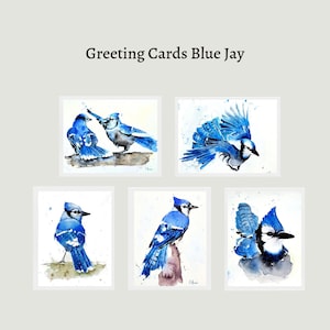 BLUE JAY Aquarelle cartes de voeux ensemble de 6 avec enveloppes, cartes de voeux vierges, ensemble de 6 motifs de geai bleu aquarelle avec enveloppes