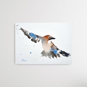 Original Watercolor Painting European Jay, unique and hand signed, Original Watercolor Painting European Jay, unique and hand signed