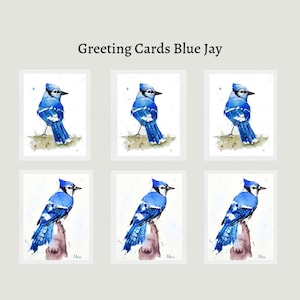 6 cartes de voeux aquarelle BLUE JAY avec 2 motifs et avec enveloppes, cartes de voeux vierges, lot de 6, deux motifs aquarelle de geai bleu avec enveloppes