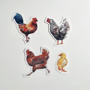 4 Hühner Vinyl Aufkleber Hahn, Huhn, Henne nach meinen original Aquarellen, 4 vinyl Stickers of my original watercolor chicken paintings