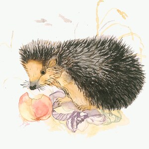 Watercolor little hedgehog, art print hand signed and limited, Fine Art Print Watercolor painting Hedgehog, hand signed and limited