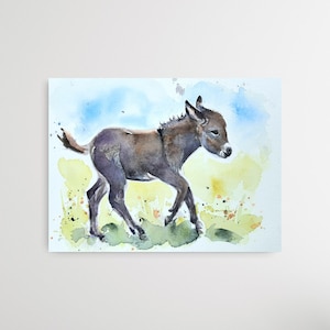 Original watercolor of a donkey baby, unique and hand signed. Original watercolor of a donkey baby, unique and hand signed
