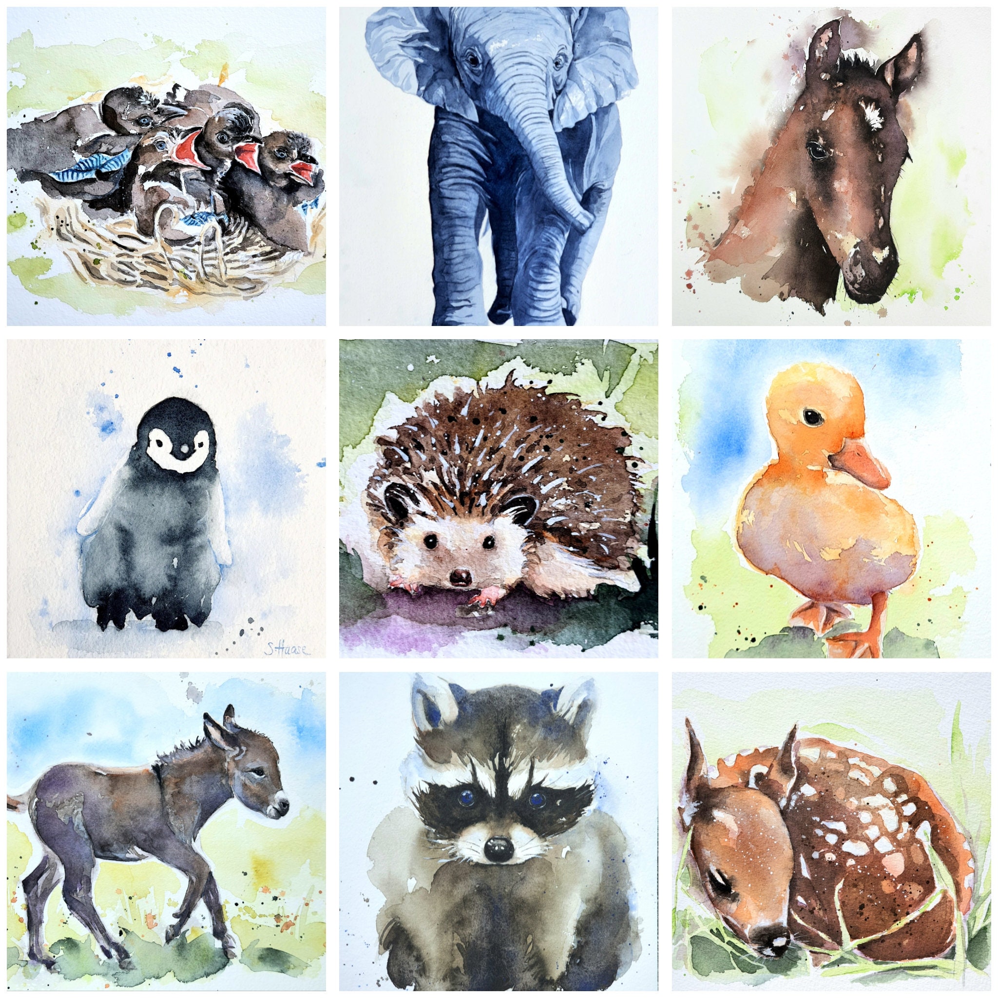 Original Watercolor Painting of a Little Racoon, Unique and Handsigned,  Original Watercolor Painting of a Little Racoon Unique and Handsigned - Etsy, image size:2048x2048