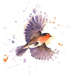 Watercolor flying robin, art print, hand signed and limited, Artprint Watercolor Painting flying Robin, hand signed and limited