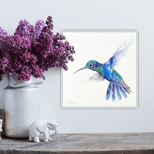 Watercolor blue hummingbird, art print hand signed, limited, Fine Art Print Watercolor Painting blue humming bird signed and limited