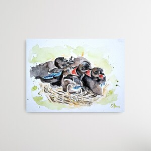 Original watercolor jay, unique and hand signed, Original Watercolor Painting European Jay, unique and hand signed