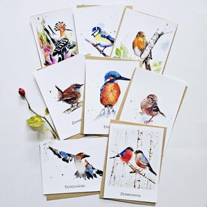 Postales de acuarela de pájaros de jardín domésticos Conjunto de 6 u 8 con sobre, Postales de pájaros del jardín, Conjunto de 6 u 8 con sobres, firmado