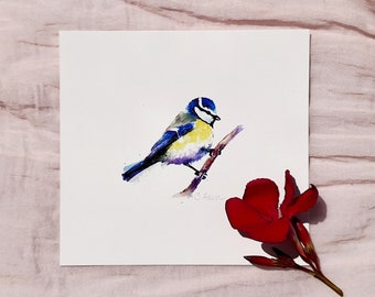 Fine Mini Art Print Acuarela Bluetit Bird de alta calidad, firmado