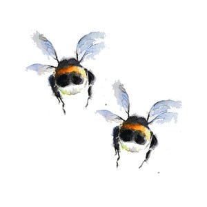 Könnte beinhalten: Zwei Aquarellbilder von Hummeln im Flug. Die Bienen sind in Gelb-, Schwarz- und Brauntönen mit blaugrauen Flügeln gemalt.