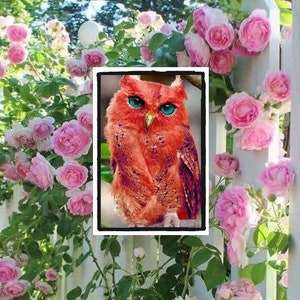 May include: A red owl with blue eyes is perched on a branch. The owl has a pink and purple feathered pattern. The owl is surrounded by pink flowers.