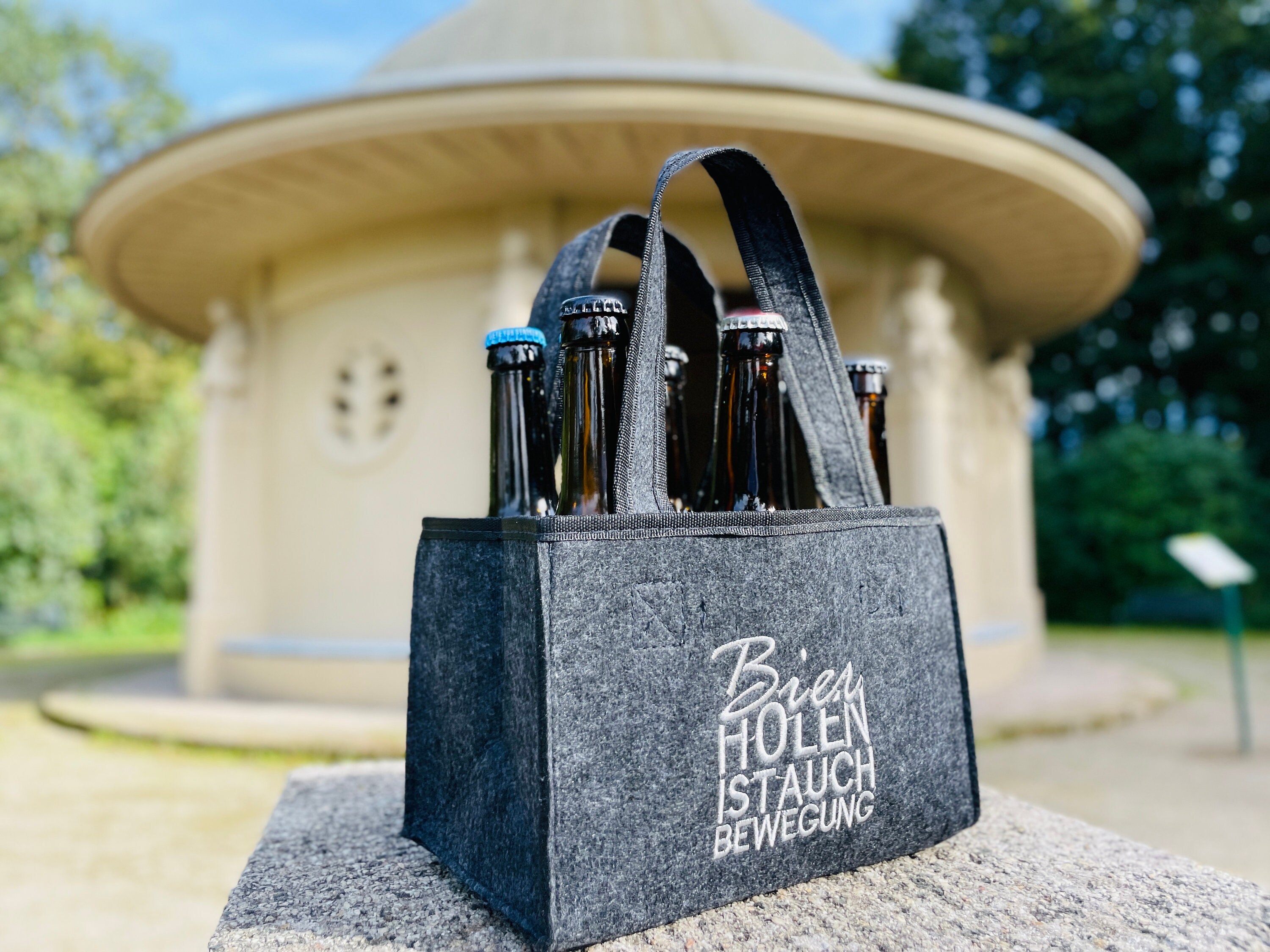 Sac à 6 Bouteilles En Feutrine JYNVO - Idéal Soirées Et Cadeaux Pour Amateurs De Bière - 4