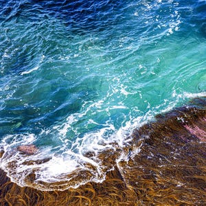 Colori del mare e alghe - Biglietto d'auguri di lusso