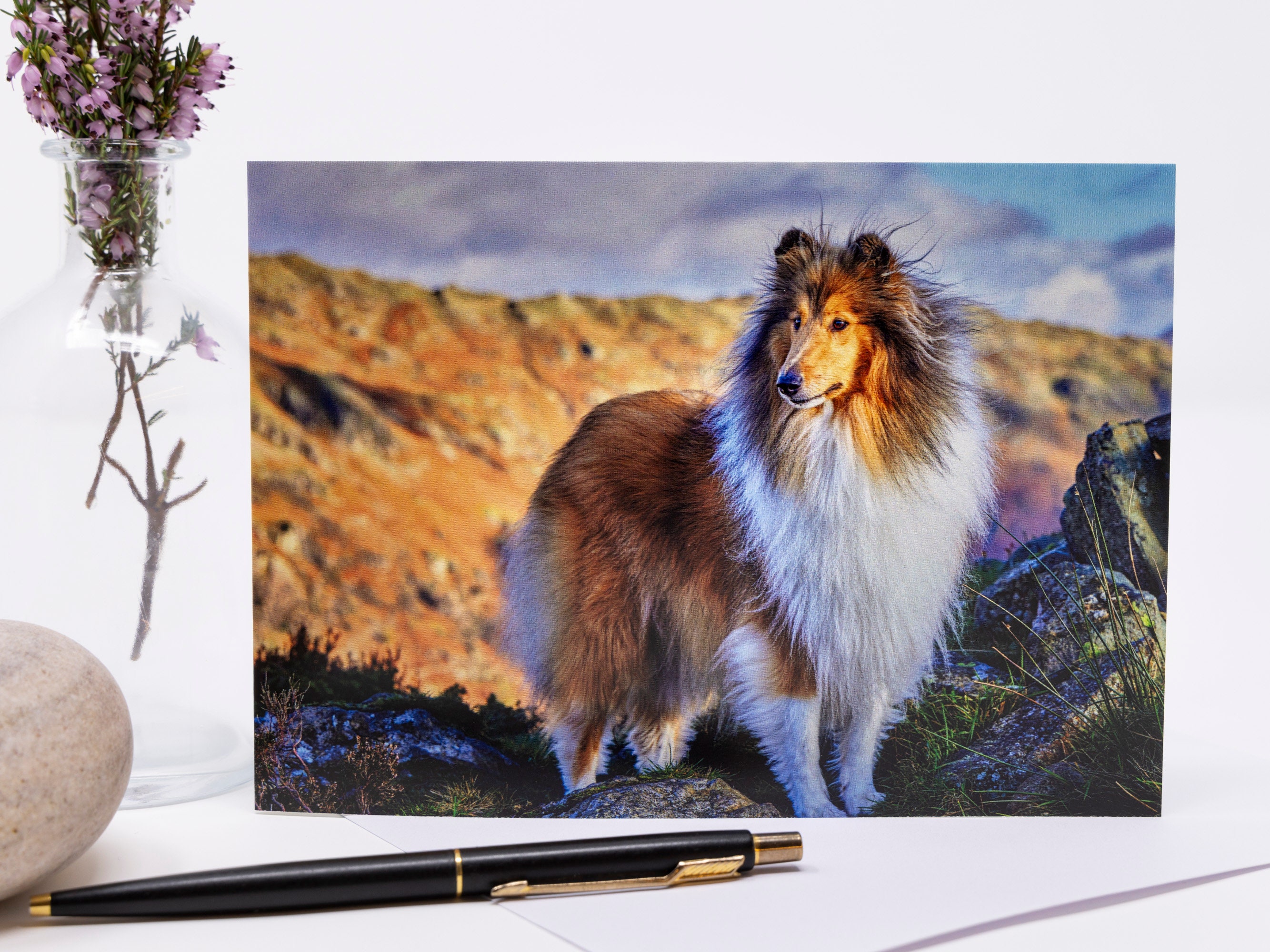 Collie専用購入ページ Rough Collie, Lassie Dog, Lake District - Luxury Blank Greetings