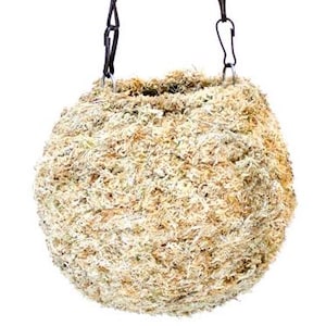 Sphagnum Moss Kokedama