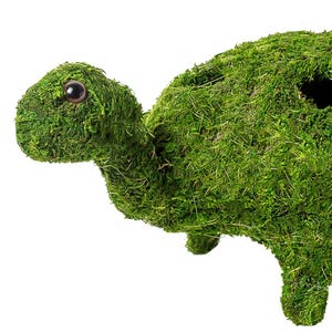 Op de afbeelding: Een groene mos schildpad figuur met een getextureerd oppervlak en twee zwarte ogen. De schildpad staat op een witte achtergrond.