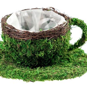 Coffee Cup Planter.