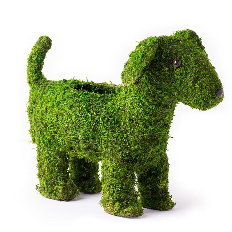 Moss Planter Container - Etsy