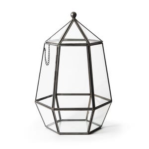 Glass Terrariums Atrium