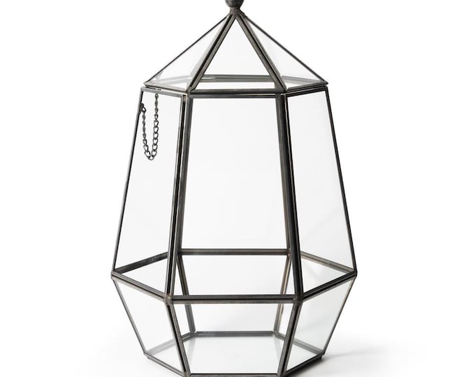 Glass Terrariums Atrium