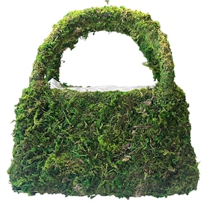 Maceta de musgo plantable de 30 x 9,4 x 15 cm