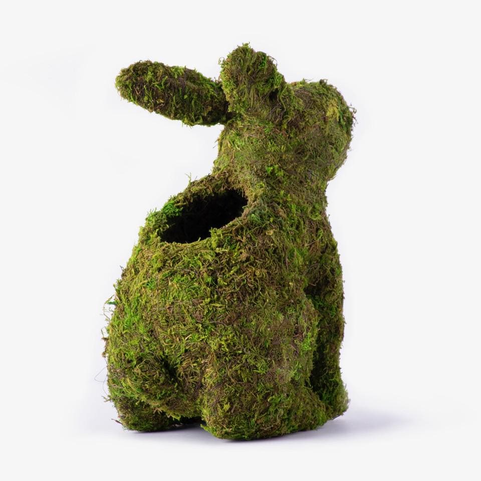 Moss Bunny - Etsy