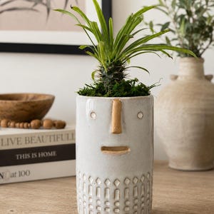 Rolig ansikte-planteringslåda med levande Madagaskarpalm | 13 cm keramisk kruka | Modern skrivbordsväxt | Liten krukväxt | Present till växtälskare