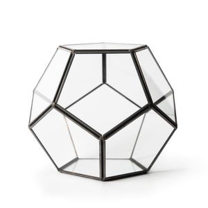 Puede incluir: Un terrario de vidrio geométrico con un marco de metal negro. El terrario tiene forma de dodecaedro y un cuerpo de vidrio transparente.