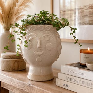 Pilea Glauca Aquamarine Plant in Ceramic Face Planter | Boho Head Pot