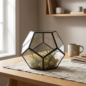 May include: Geometric terrarium with a black metal frame and glass panels, housing small air plants and moss. The terrarium sits on a wooden table, suggesting a decorative home accent. The design is modern and minimalist, suitable for displaying small plants.