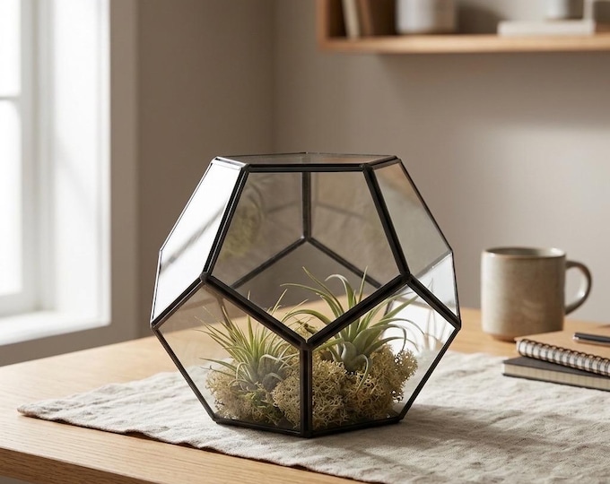 Featured listing image: Dome Glass Terrariums 7.09 × 7.09 × 5.91 in