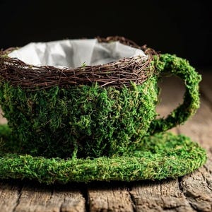 Large Teacup Planter - Etsy