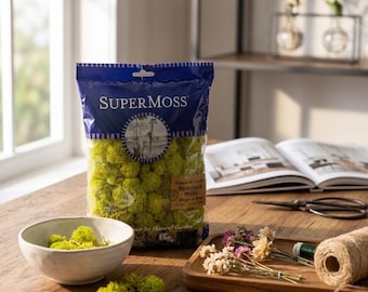 2oz Bag of Chartreuse reindeer moss