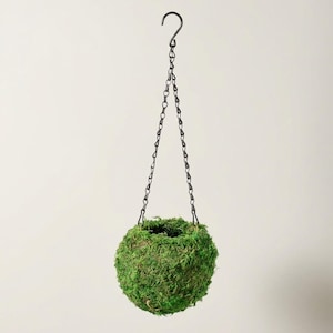 Moss Kokedama Planter 15 cm Mossbollsväxt ingår ej