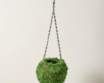Moss Kokedama Planter 6" Moss Ball Plant not included