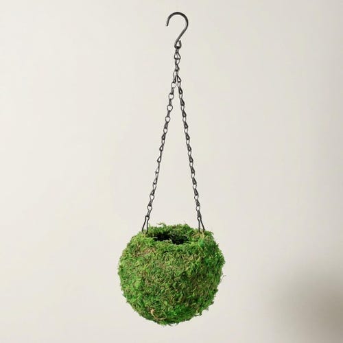 Moos-Kokedama-Pflanzgefäß, 15 cm (6 Zoll), Moosball (Pflanze nicht enthalten)