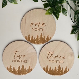 Disques des jalons mensuels sur le thème de la forêt en bois pour photos de bébé | Panneau jalon nouveau-né | Cadeau baby shower Nature| Panneau d'annonce de grossesse