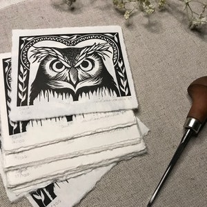 Owl image 5