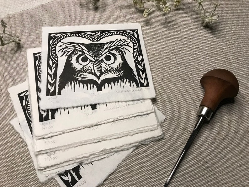 Owl image 5