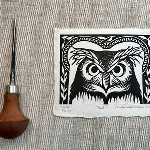 Owl image 4