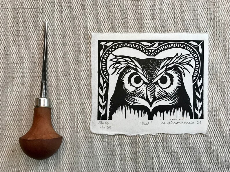 Owl image 4