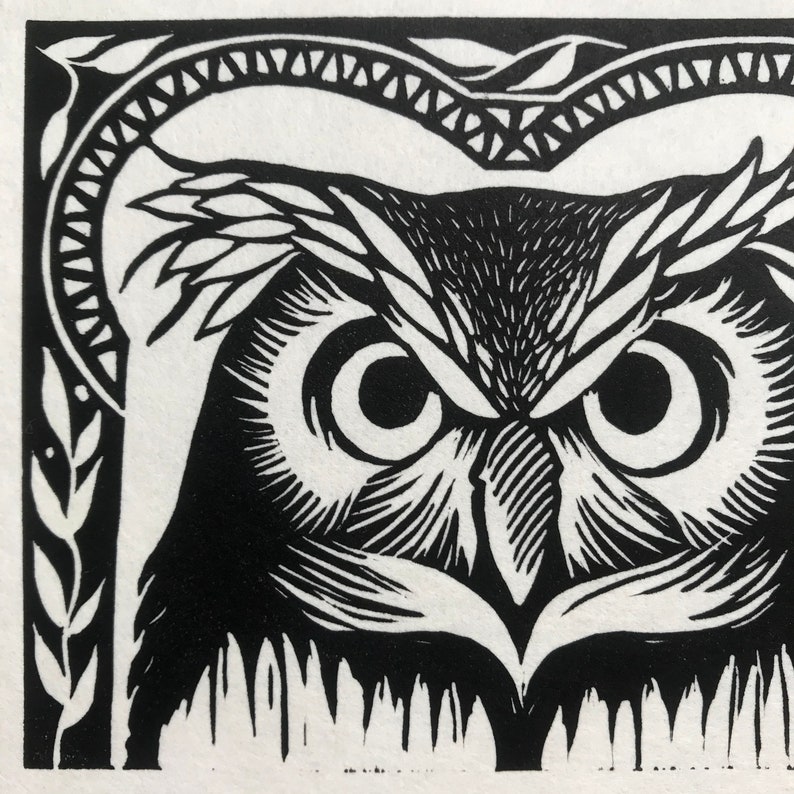 Owl image 6