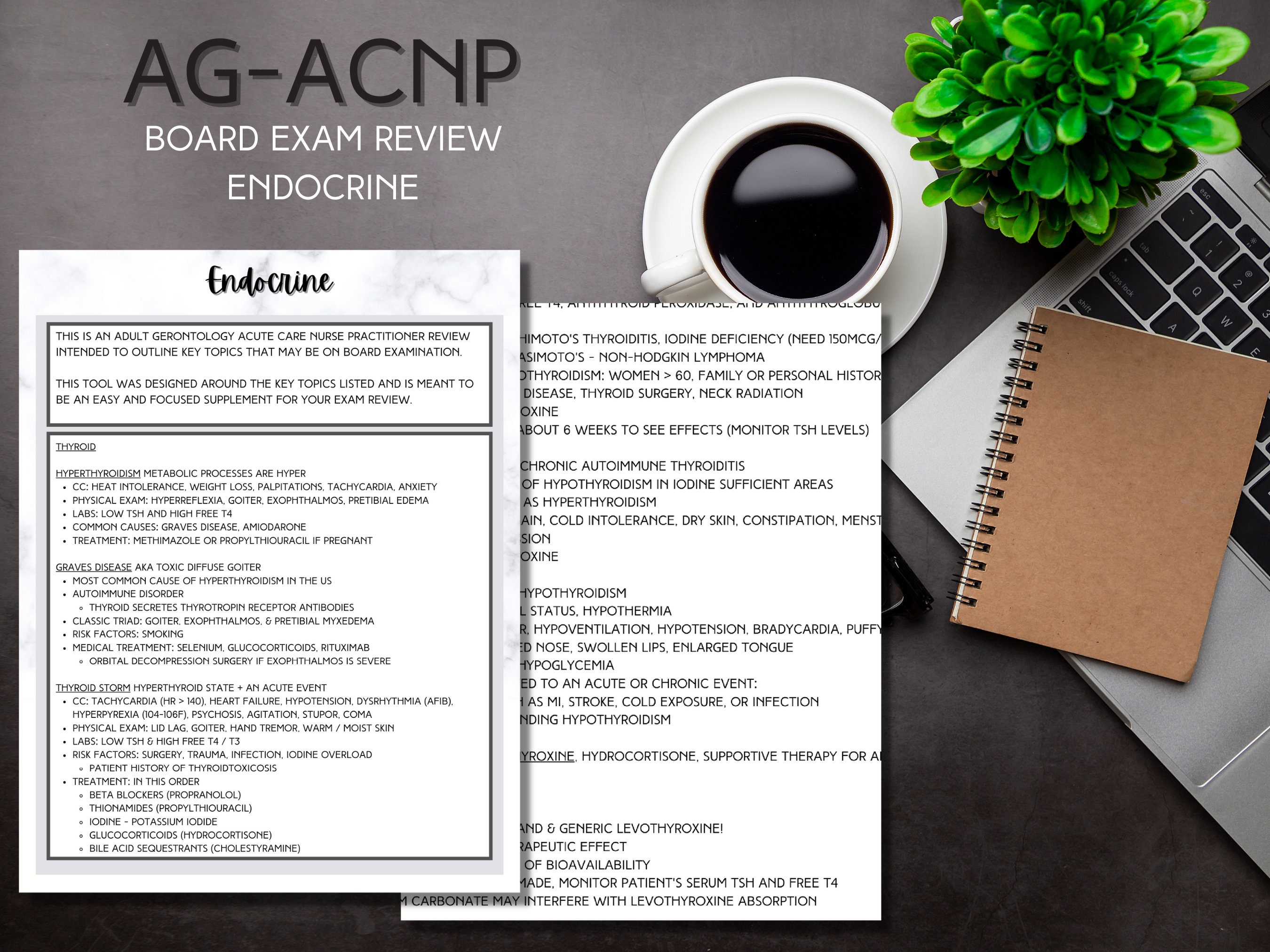 Agacnp Etsy