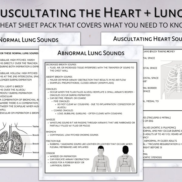 Auscultating the Heart and Lungs | A cheat sheet pack to master your assessment.