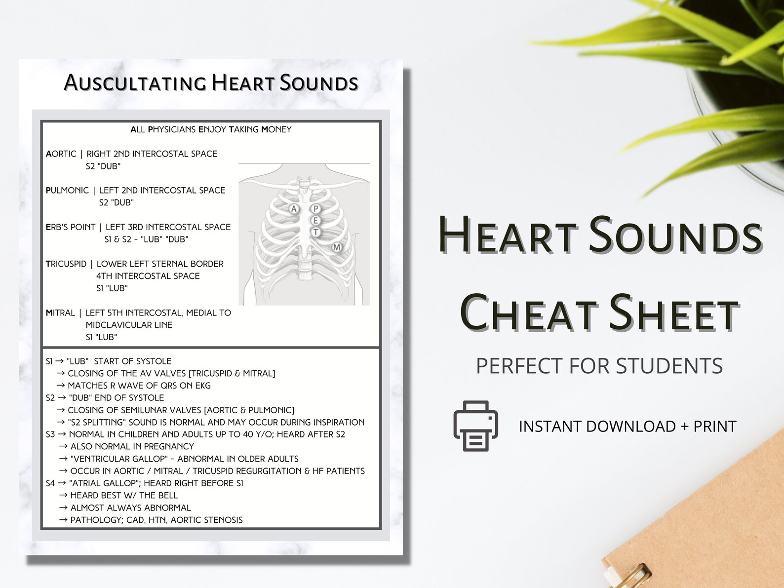 Heart Sounds Cheat Sheet Study Guide For Healthcare Professional