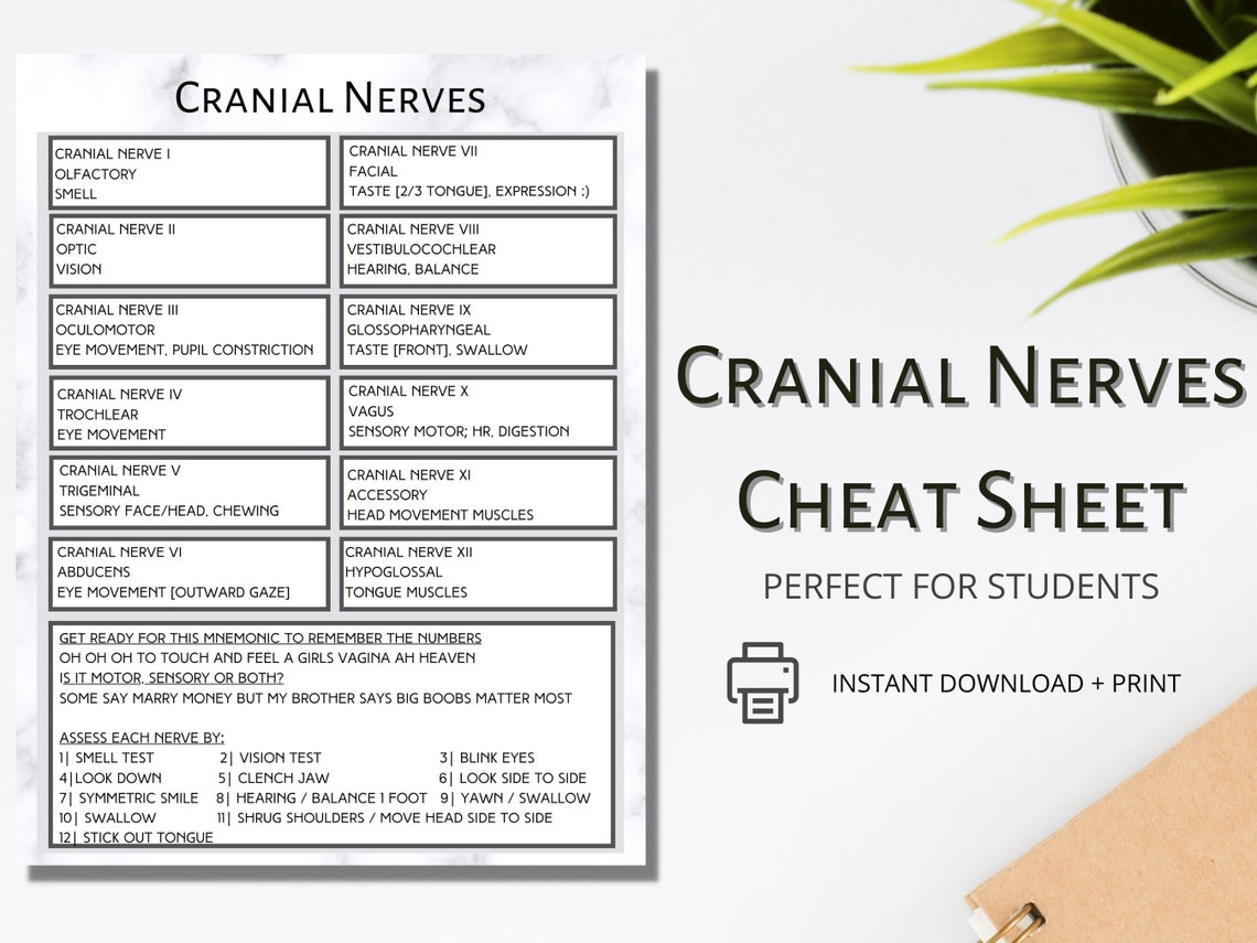 Cranial Nerves Explained | Study Guide for Healthcare Professional ...